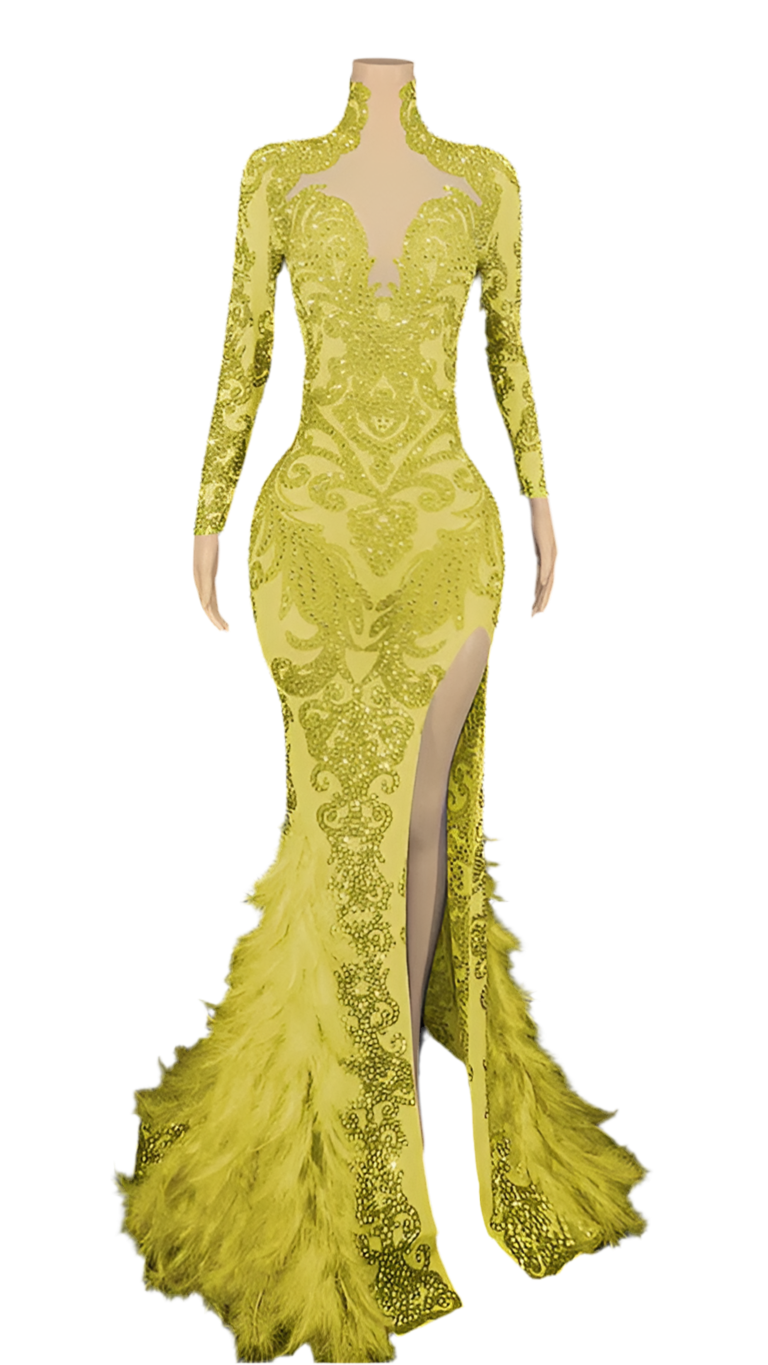 I Want To Dazzle Diamond + Feather Gown