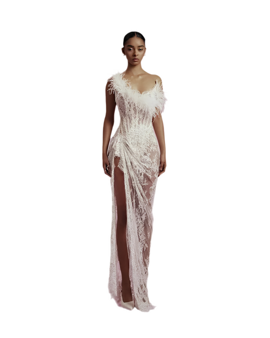 Dream Girl Feather + Lace Dress