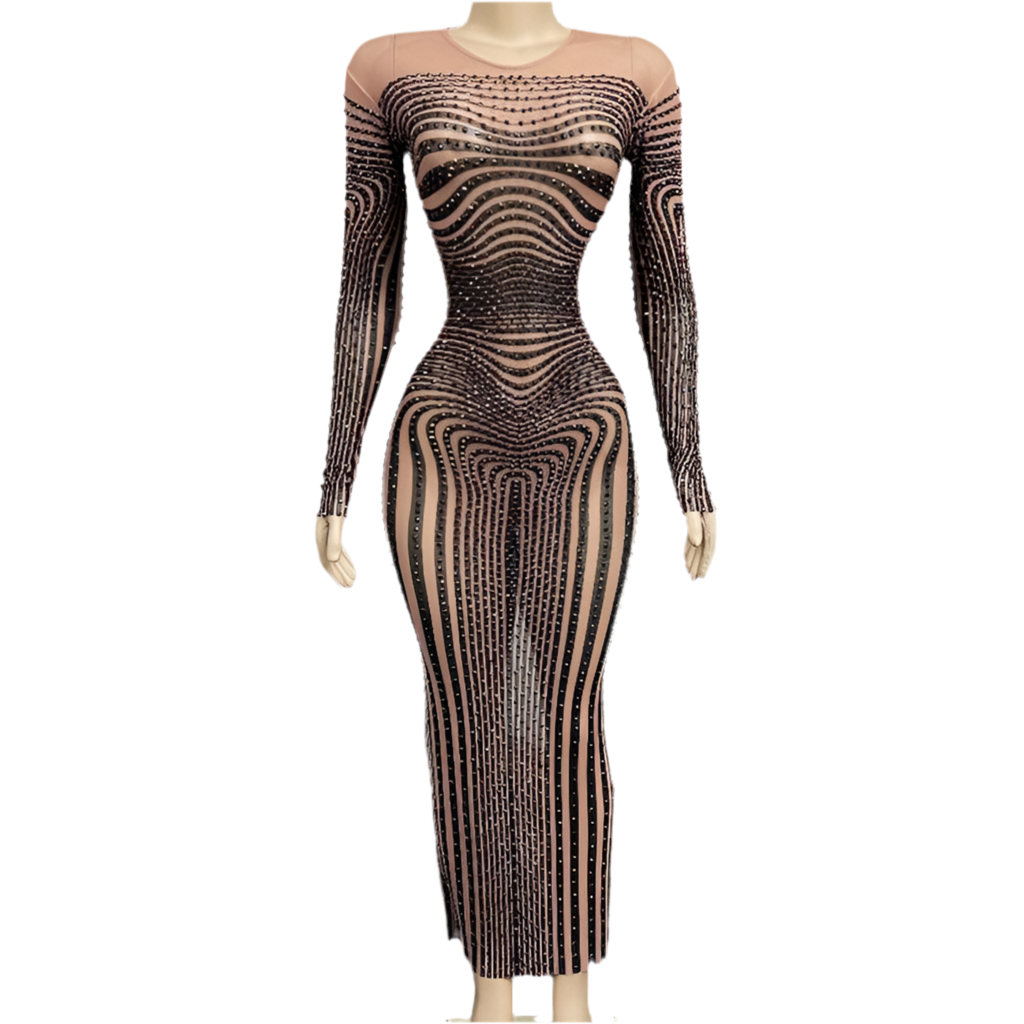 Fine Zebra Jeweled Dress